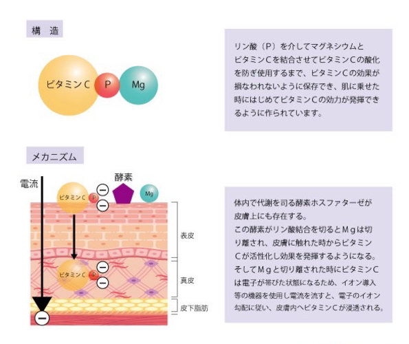 オープン